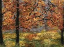 Jan Hoyle